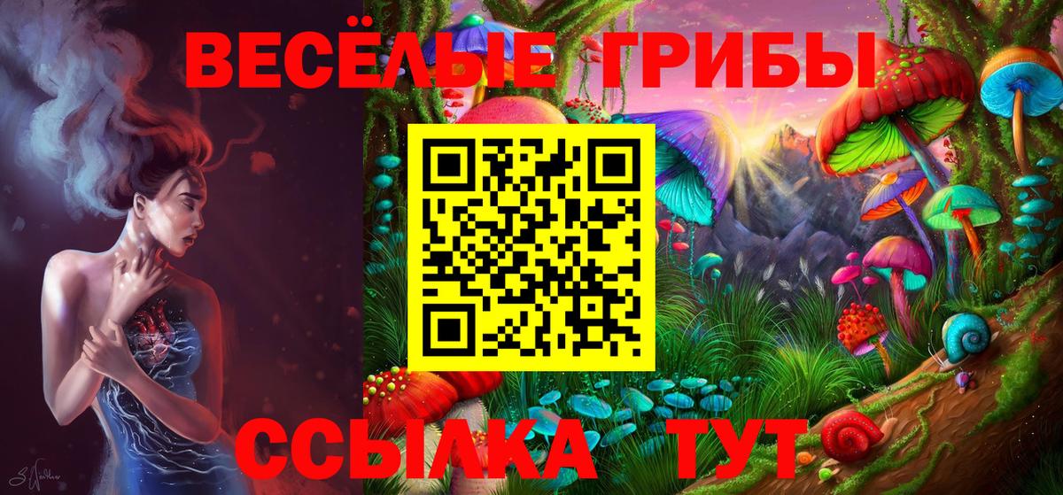 Галлюциногенные грибы ЛСД Юрга