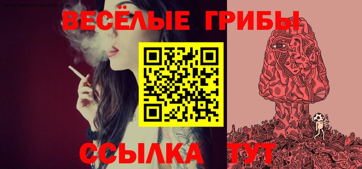 Псилоцибиновые грибы мицелий  как найти   Юрга  Вход с VPN 